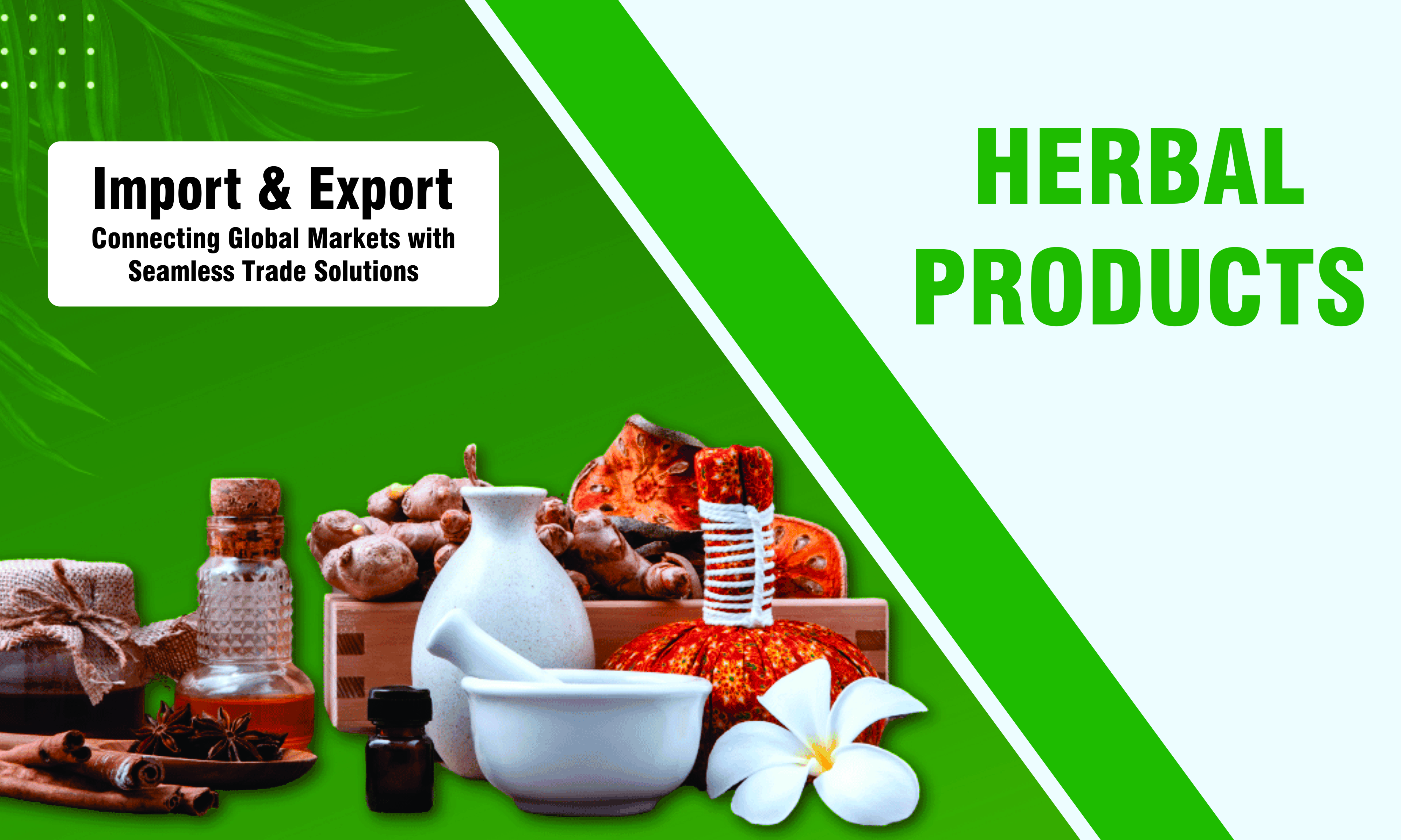 RJN Export and Import